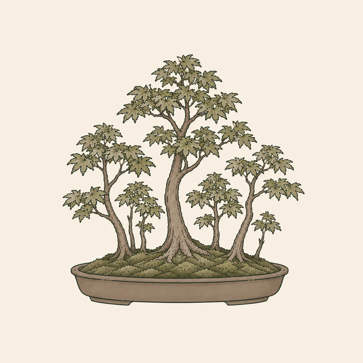 寄せ植え(よせうえ)の樹形。複数の樹を 1 つの鉢に植え、景色そのものを作る樹形。