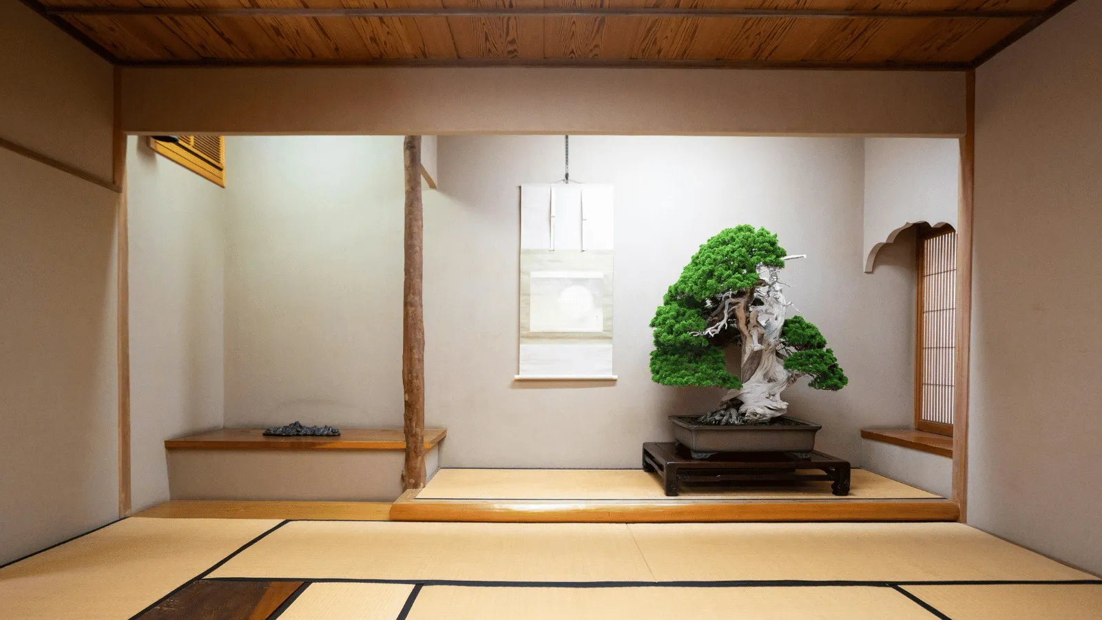 盆栽美術館の展示室に並ぶ盆栽作品群 — 「Bonsai United」のような国際比較展示空間を連想させる格調高い空間