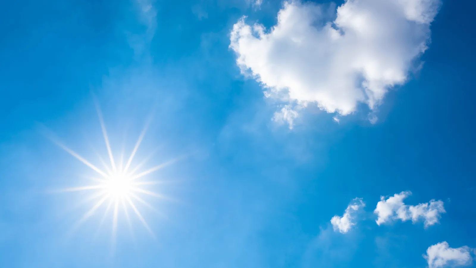 夏至直後の強烈な太陽光が降り注ぐ青空 — 一年で最も高い太陽が盆栽の棚場にも当たる季節