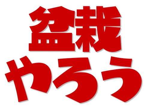 盆栽やろう